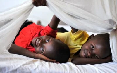 Exploring the Efficacy of Anti-Malaria Drugs in Malaria Prevention and Treatment