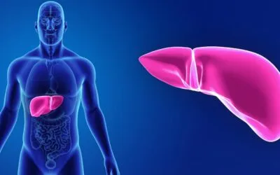 Promising Developments in the Future of Anti-Hepatitis C Drugs