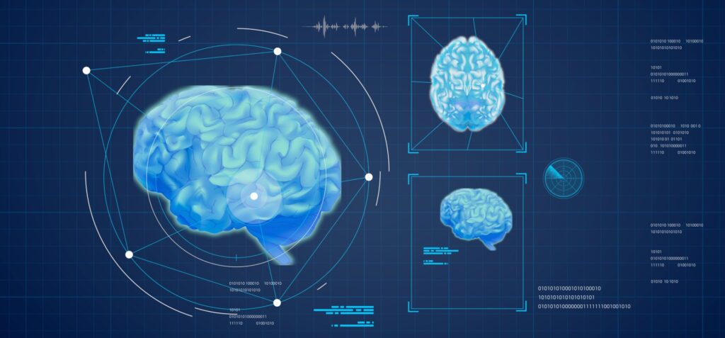 Brain medical holography screen